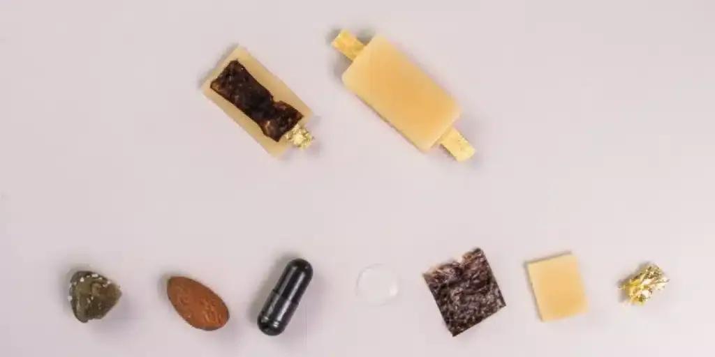 batteria ricaricabile commestibile | Elettronauti.it
