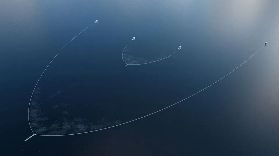 System 002 vs System 03