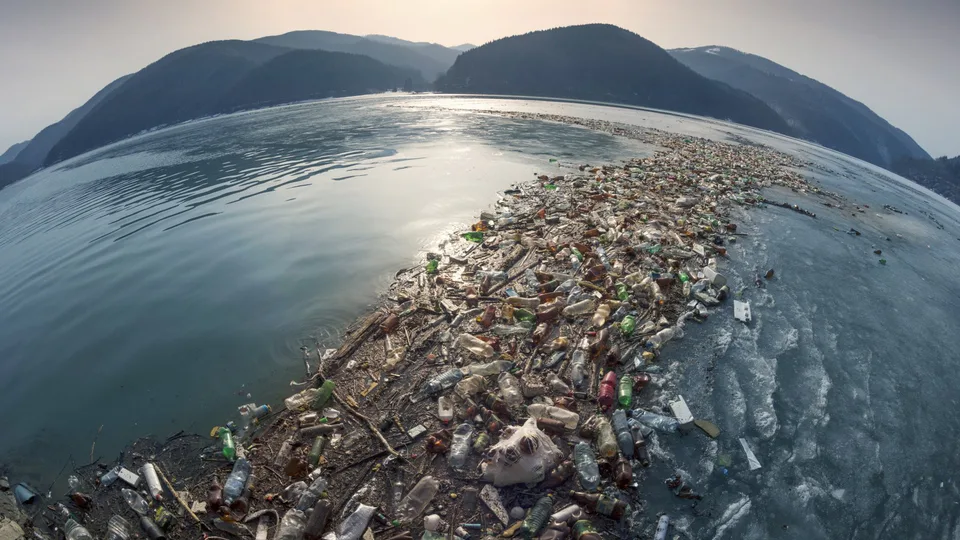 Platisfera: nuova minaccia per laghi e fiumi