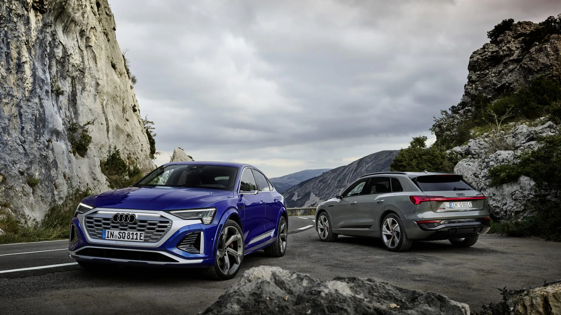 Audi SQ8 Sportback e-tron quattro e Audi Q8 e-Tron quattro