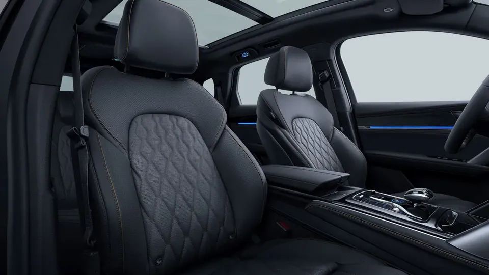 Elettronauti - BYD Tang 4x4 Long Range - Marrone - Sedili - Sedili anteriori